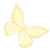 🦋