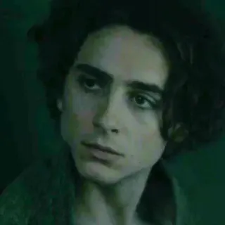 😐 Timothée Chalamet actor, portrait, celebrity, movie star telegram sticker