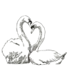 🦢