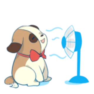 ☀️ cane, fan, carino, animale, cartone animato, raffreddamento whatsapp sticker