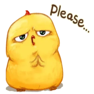 🐥 Please... ayam, burung, lucu, memohon, permintaan, hewan telegram sticker