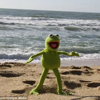 😎 Kermit 커밋, 개구리, 해변, 바다, 인형, 머펫, 짐 헨슨 telegram sticker