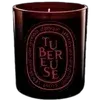 🕯️