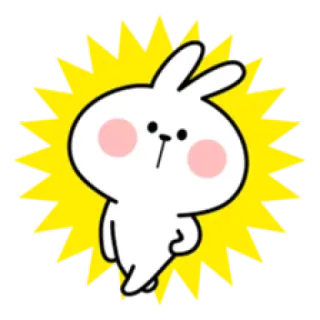 😎 bunny, rabbit, cute, cartoon, animal telegram sticker