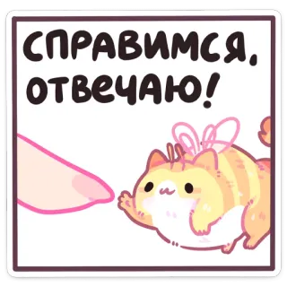 ☺️ СПРАВИМСЯ, ОТВЕЧАЮ! cat, cute, positive, determination, encouragement, optimism telegram sticker