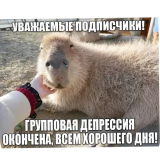Больше стиков тут: @stikery4 whatsapp stickers