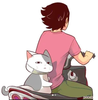 🐈 猫, 摩托车, 卡通, 动物, 骑行, 宠物 whatsapp sticker