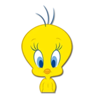 😐 Tweety Bird Tweety, ptak, kreskówka, Warner Bros, Looney Tunes, żółty ptak telegram sticker