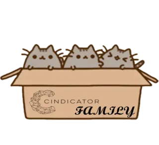 👨 CINDICATOR FAMILY gatos, familia, caja, lindo, animales, cindicator whatsapp sticker