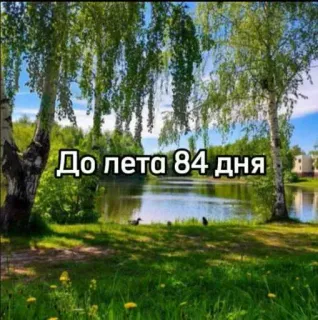 ☀️ До лета 84 дня verano, naturaleza, días, esperando, paisaje telegram sticker