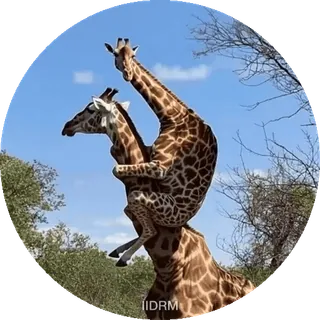 Больше стиков тут: @stikery4 whatsapp stickers
