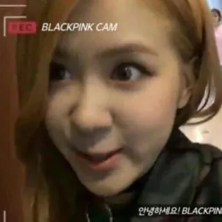 ✨ Rosé 안녕하세요! BLACKPINK CAM BLACKPINK, K-Pop, Rosé, Idol, Coreia do Sul, Música, Cantora telegram sticker