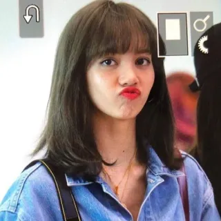 🐈 Lisa ผู้หญิง, K-POP, ไอดอล, นักร้อง, แฟชั่น, ความงาม, คนดัง, ลิซ่า, Blackpink telegram sticker