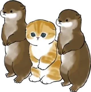 🦦 berang-berang, kucing, hewan, imut, kawaii, kartun, stiker telegram sticker