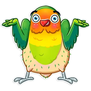 🤷 새, 만화, 앵무새, 동물, 스티커, 일러스트, 귀여운, 사랑앵무 telegram sticker