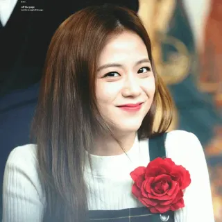 🦄 Jisoo off the page женщина, портрет, цветок, улыбается, k-pop, корейский, певец whatsapp sticker