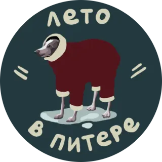 ☹ Лето в питере cachorro, verão, cidade, são petersburgo, frio, humor, inverno telegram sticker