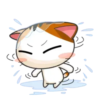 🌧 猫, かわいい, 漫画, ダンス, 動物 telegram sticker
