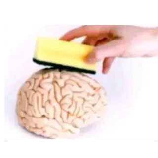 🧠 whatsapp sticker