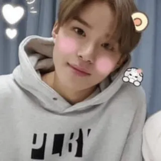 🔥 puby kpop, idol, selfie, fofo, moletom com capuz, rosto whatsapp sticker