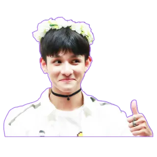 👍 uomo, pollice in su, corona di fiori, persona, sorriso, girocollo, ragazzo telegram sticker