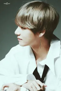 💵 V K-pop, BTS, idol, Kim Taehyung, singer, portrait, Asian, male telegram sticker