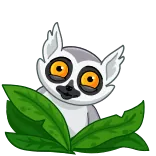 Lemurio telegram stickers