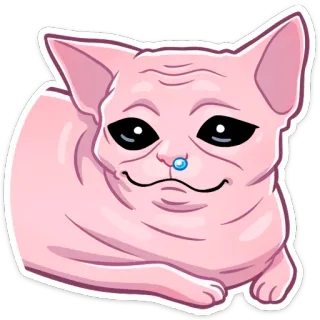 🤤 кот, сфинкс, животное, питомец, мем, смешной, мультфильм, наклейка telegram sticker