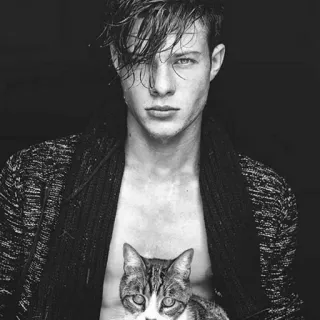 😒 man, cat, pet, portrait, black and white, sweater telegram sticker