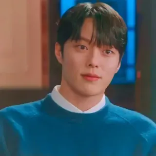 🦊 hombre, retrato, coreano, actor, persona, suéter telegram sticker