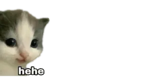 😋 hehe gato, gatinho, meme, engraçado telegram sticker