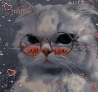 🤳 soft 猫, 可爱, 眼镜, 爱心, 萌 telegram sticker