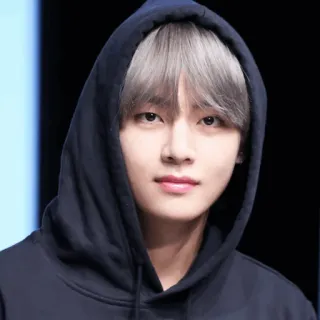 😐 V pessoa, homem, kpop, ídolo, coreano, cantor, moletom com capuz telegram sticker