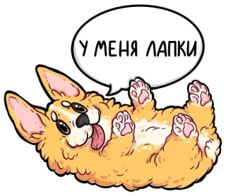🤗 У МЕНЯ ЛАПКИ корги, собака, животное, милый, лапки, стикер, мультик whatsapp sticker