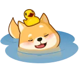 Бака Акио @TgSticker whatsapp stickers