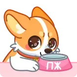 🥺 ПЖ corgi, cane, cibo, ciotola, animale domestico telegram sticker