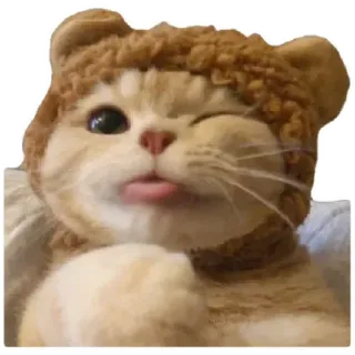 😸 cat, kitten, cute, animal, pet, winking, tongue, funny telegram sticker