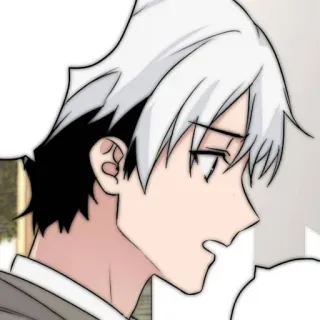 🥛 anime, manga, character, portrait, white hair, black hair whatsapp sticker