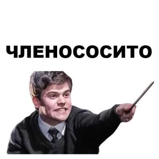 👨‍👨‍👦‍👦 ЧЛЕНОСОСИТО offensant, russe, autocollant telegram sticker