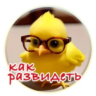 👀 как развидеть птица, цыпленок, очки, милый, желтый, русский, мем telegram sticker