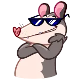 😎 주머니쥐, 멋진, 선글라스, 동물, 스티커 whatsapp sticker
