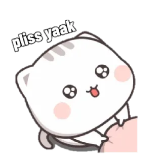 🥺 pliss yaak 고양이, 귀여운, 애원하는, 카와이, 스티커 telegram sticker