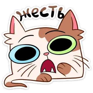 😵 Жесть Katze, geschockt, russisch, Cartoon, Gesichtsausdruck, Wow, krass telegram sticker