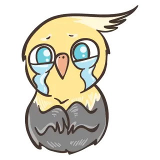 😭 calopsitta, uccello, piangendo, triste, lacrime, carino, animale telegram sticker