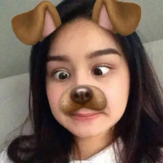 🐶 oreilles de chien, filtre chien, filtre visage, selfie, femme, drôle de tête telegram sticker