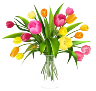 🌹 flowers, tulips, bouquet, vase, floral, spring whatsapp sticker