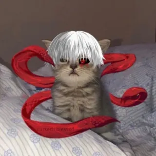 🥵 Ken Kaneki Tokyo Ghoul cursed-blessed кот, аниме, Токийский гуль, Канеки, гуль, проклятый-благословенный telegram sticker