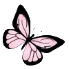 🦋