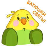 😮 LOL bird, parrot, cartoon, animal, cute, lol, sticker telegram sticker