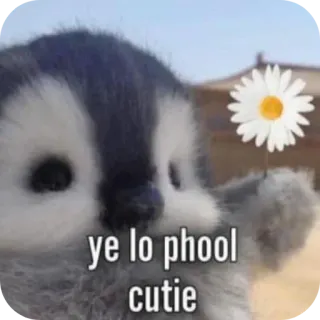 🌼 ye lo phool cutie cat, flower, cute telegram sticker
